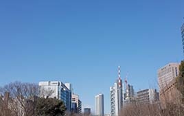 東京(お茶の水)3daysワークショップ（講師：岡部明美）