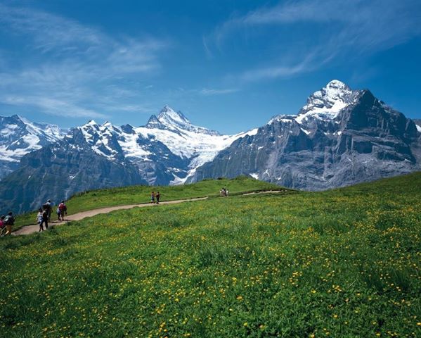 美しい国スイスを旅して感じたこと