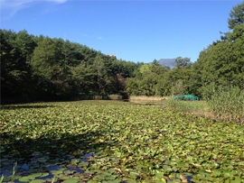 群馬県 草津・岡部明美3daysワークショップ