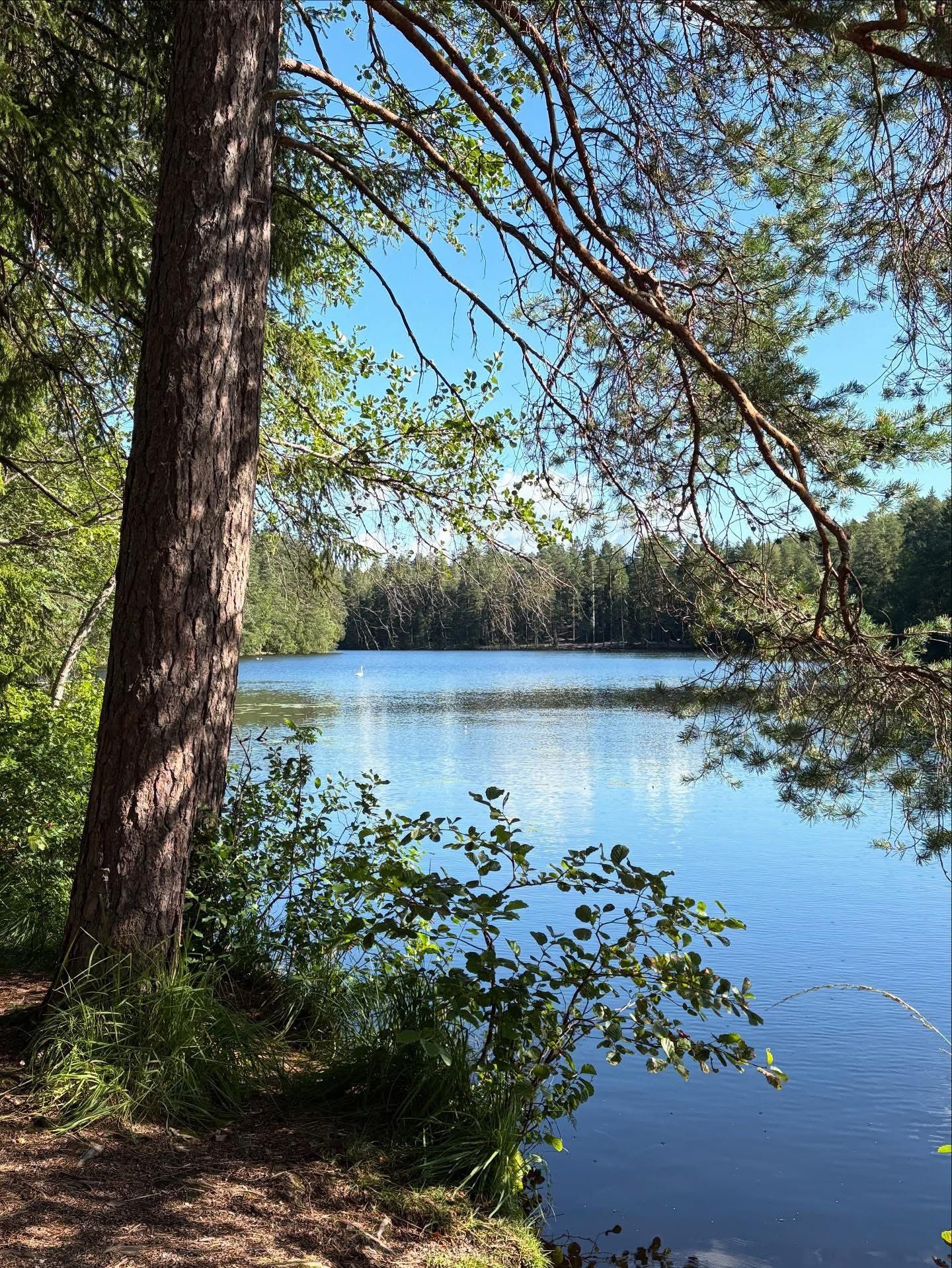 北欧の旅④森と湖とオーロラとサウナとムーミンの国フィンランド日記
